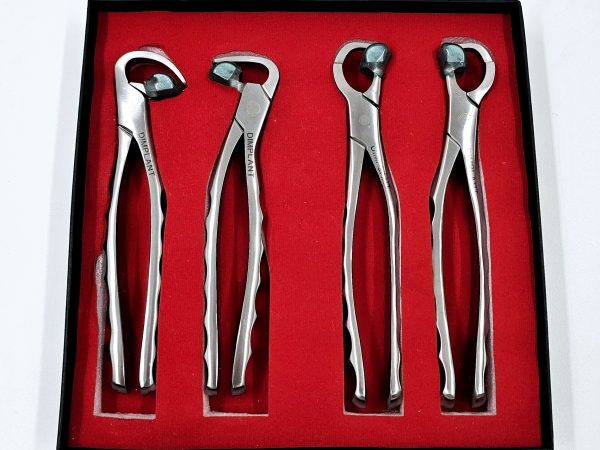 فورسپس آناتومیک Physics forceps DIMPLANT - Image 8