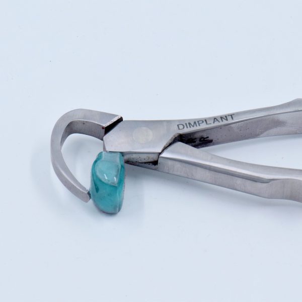 فورسپس آناتومیک Physics forceps DIMPLANT - Image 4