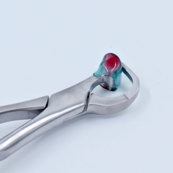 فورسپس آناتومیک Physics forceps DIMPLANT - Image 5